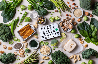 MUSCOLI PLANT-BASED SI PUÒ? DIFFERENZE TRA PROTEINE ANIMALI E VEGETALI