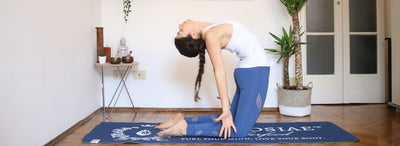 YOGA: Spine Warm Up Vinyasa Flow